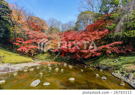 Koishikawa Korakuen in Tokyo Autumn (Tonenbashi and autumn leaves) Koishikawa Korakuen in Tokyo Autumn (Tonenbashi and autumn leaves) 26783315