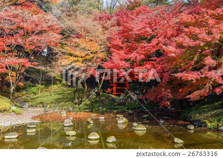Koishikawa Korakuen在東京秋天（Tonenbashi和秋葉） 26783316