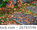 秋天的樹葉 26783596