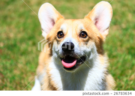 Play fast♪ 26783634