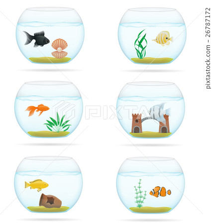fish in a transparent aquarium vector illustration fish in a transparent aquarium vector illustration 26787172