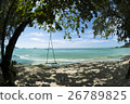 Klong Prao Beach Swing 26789825