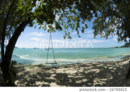 Klong Prao Beach Swing 26789825