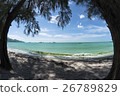 Klong Prao Beach Two Trees 26789829