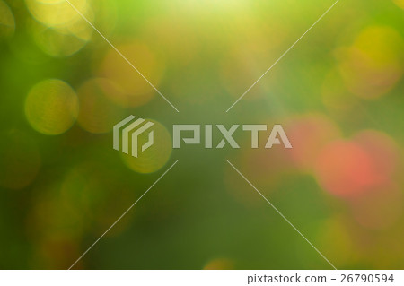 Pretty green and light blurred material of winter forest 26790594