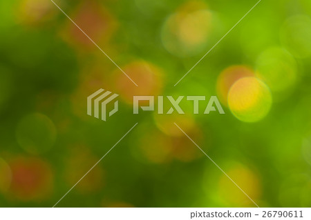 Pretty green and light blurred material of winter forest Pretty green and light blurred material of winter forest 26790611