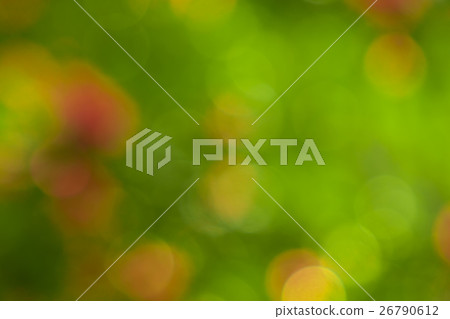 Pretty green and light blurred material of winter forest Pretty green and light blurred material of winter forest 26790612