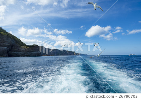 用Shakotan(+ Seagull)切割的巡航圖像 用Shakotan(+ Seagull)切割的巡航圖像 26790702