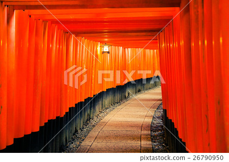 Evening Senbon torii 26790950