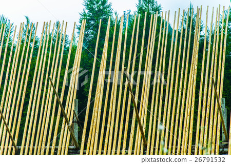Dried cedar wood Dried cedar wood 26791532