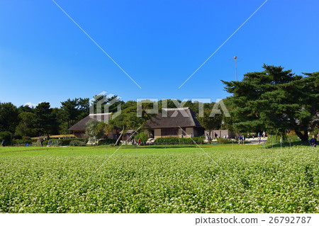 國營的Hitachihama海灘公園舊的私人住宅·別墅 26792787