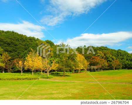 Autumn park scenery Autumn park scenery 26796704