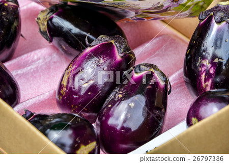 Round eggplant 26797386