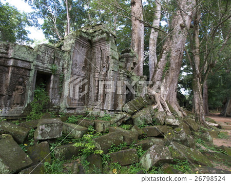 Ta Prohm Ta Prohm 26798524