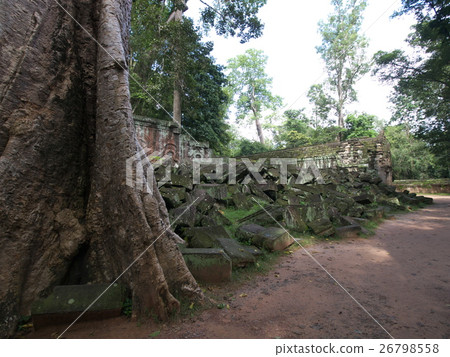 Ta Prohm 26798558