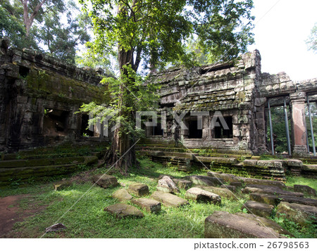 Ta Prohm Ta Prohm 26798563