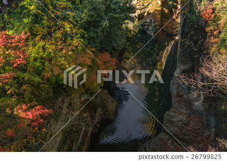 日本的三個瘋狂的橋樑Saruhashi秋天風景2016年 日本的三個瘋狂的橋樑Saruhashi秋天風景2016年 26799825