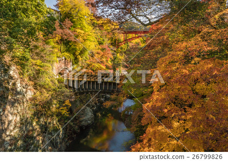 日本的三個瘋狂的橋樑Saruhashi秋天風景2016年 26799826