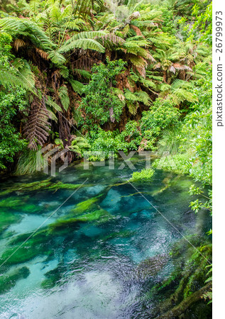 Blue Spring located at Hamilton, New Zealand. 26799973