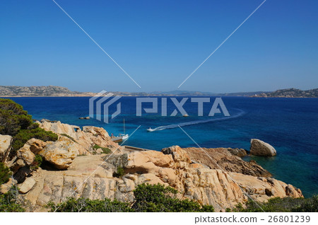 Carla Corsala of Sparse Island in the Maddalena Islands 26801239