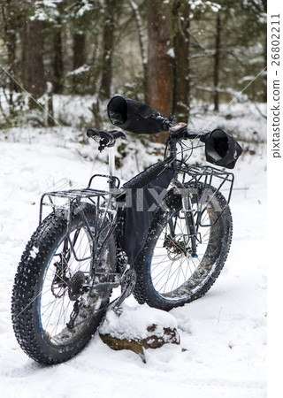 fatbike in the wood fatbike in the wood 26802211