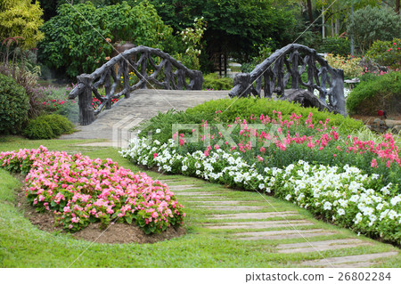 landscape of floral gardening with pathway 26802284