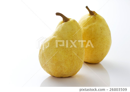 Le · Lectier 1 26803509