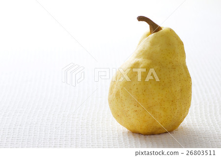 Le · Lecte 11 26803511