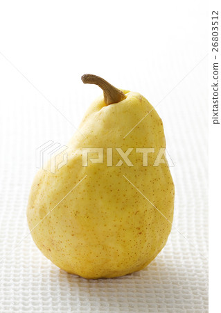 Le · Lecte 12 26803512