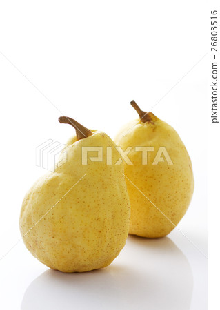 Le · Lecte 2 26803516