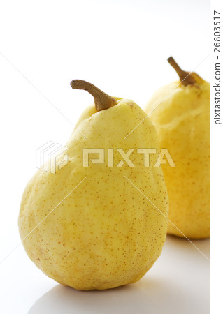 Le · Lecce 3 26803517