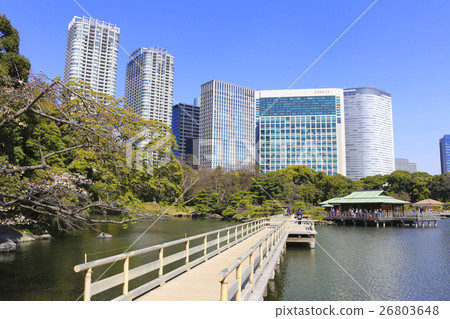 濱離宮恩賜庭園 26803648