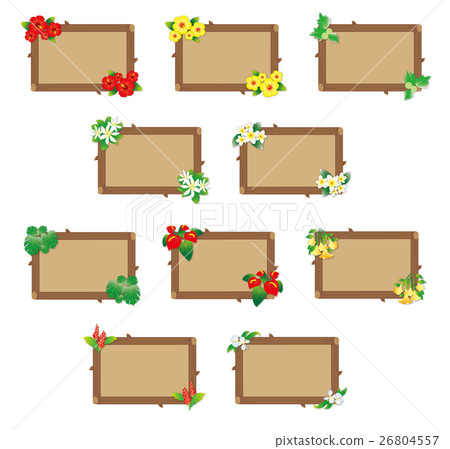 夏威夷花和樹框架 夏威夷花和樹框架 26804557