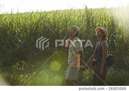 Men and women sucking fields to sightsee for Okinawa 26805089