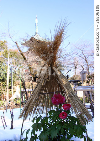 雪,秸杆籬芭冬天卷 雪,秸杆籬芭冬天卷 26806188
