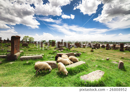 Sheep graze in Noratus Sheep graze in Noratus 26808952