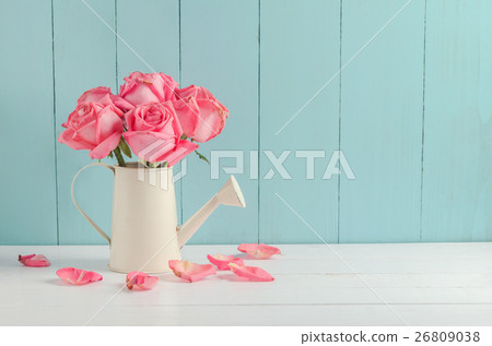 Withered pink rose flowers at watering can Withered pink rose flowers at watering can 26809038