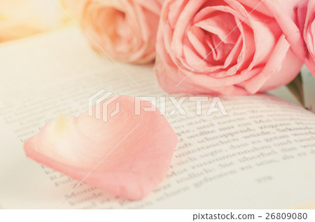 Petal rose flowers with pink roses on opened book 26809080