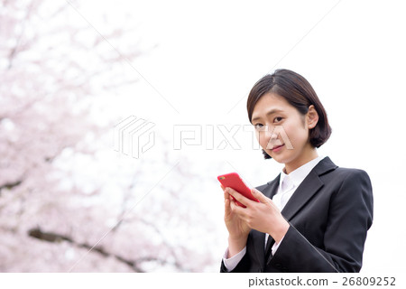 A female business woman of a new employee who operates a smartphone with a cherry tree behind A female business woman of a new employee who operates a smartphone with a cherry tree behind 26809252