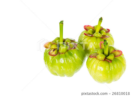 Garcinia cambogia fresh fruit on white background. 26810018