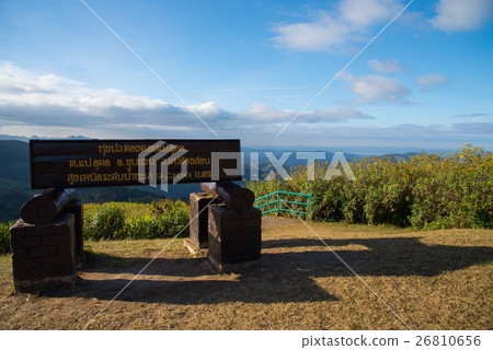 Mexican sunflowers field sign wood view point. Mexican sunflowers field sign wood view point. 26810656