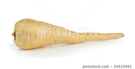 fresh parsnip roots on a white background 26810981