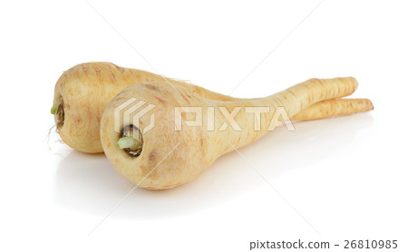 fresh parsnip roots on a white background 26810985