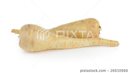 fresh parsnip roots on a white background fresh parsnip roots on a white background 26810988