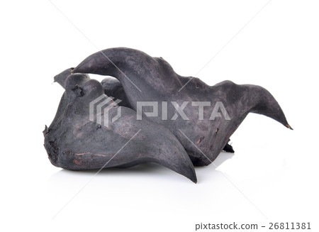 Water Caltrops, Trapa natans Water Caltrops, Trapa natans 26811381