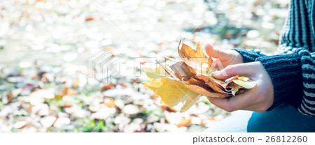 Autumn scene 26812260