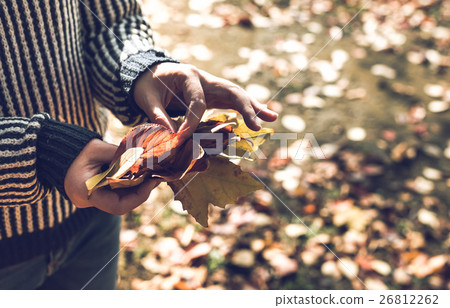 秋天的場景 26812262