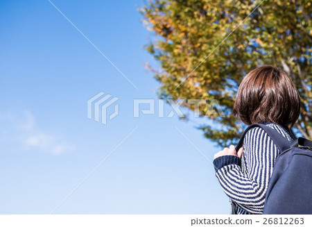 Autumn scene 26812263