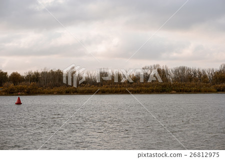 River Bank forest and rippled water surface on River Bank forest and rippled water surface on 26812975