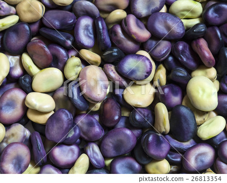 Background of raw beans close up shot Background of raw beans close up shot 26813354